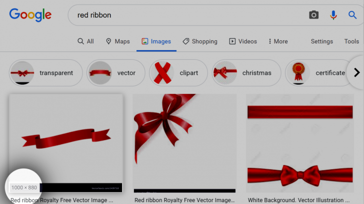 Google Image Search results will stop highlighting picture dimensions in favor of new labels and licensing details 1
