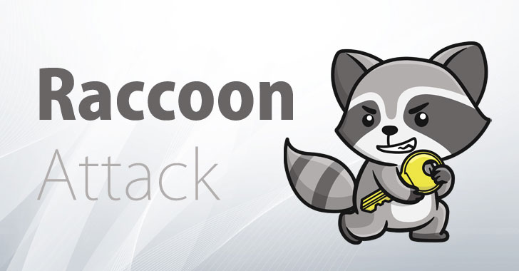 raccoon-attack-ssl-tls-encryption