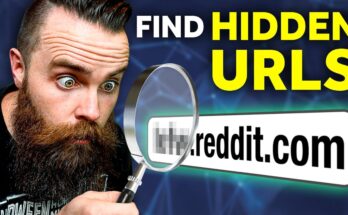 find HIDDEN urls!! (subdomain enumeration hacking) // ft. HakLuke