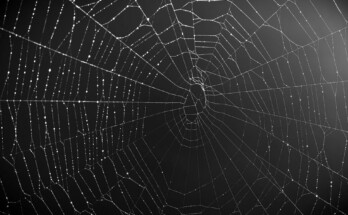 dark-web-kaspersky