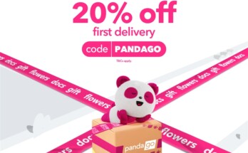 foodpanda-pandago-parcel-delivery